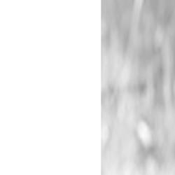 programa octubre interior